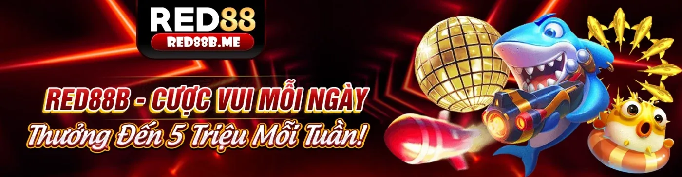 Hình ảnh Chính sách quyền riêng tư của BetVN Nhà Cái, bảo vệ dữ liệu người dùng
